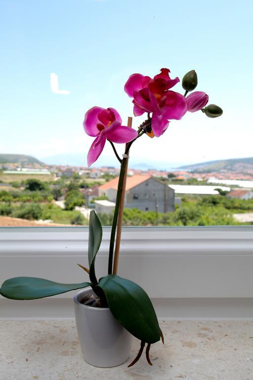 Apartment Carmen Trogir Dış mekan fotoğraf